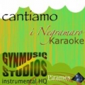 Cantiamo I Negramaro (Instrumental HQ) by Gynmusic Studios