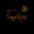 Destroyer of Light by Destroyer of Light