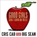 Good Girls (Don't Grow On Trees) by Cris Cab