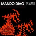 Wildfire (If It Was True) by Mando Diao