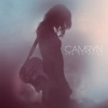 Now Or Never by Camryn