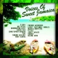 The Voices Of Sweet Jamaica by Shaggy