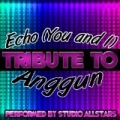 Echo (You and I) [Tribute to Anggun] - Single by Studio Allstars