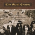 The Southern Harmony And Musical Companion by The Black Crowes