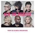 How To Climb A Mountain by New Tide Orquesta