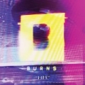 Lies by Burns