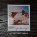 Cutting Strings by Streetfight Silence