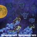 Transcendental Youth by The Mountain Goats