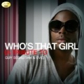 Who's That Girl (A Tribute to Guy Sebastian and Eve) by Ameritz - Tribute