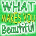 What Makes You Beautiful (Baby You Light Up My World) by Rob Vegas