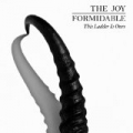 This Ladder Is Ours by The Joy Formidable