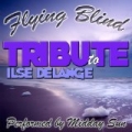 Flying Blind: Tribute to Ilse Delange by Midday Sun