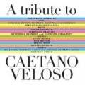 A Tribute To Caetano Veloso by Various artists