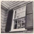 What A Pleasure by Beach Fossils
