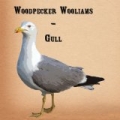 Gull (Single) by Woodpecker Wooliams