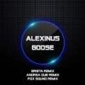 Goose - The Remixes by Alexinus