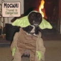 Travel Is Dangerous by Mogwai