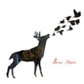 Low Roar [Explicit] by Low Roar
