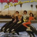 Big Fun by Shalamar