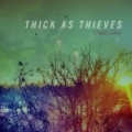 These Days [Explicit] by Thick as Thieves