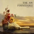 This Ladder Is Ours by The Joy Formidable