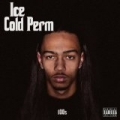 Ice Cold Perm [Explicit] by The 100s