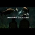 EP by Underwater Seacreatures