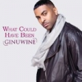 What Could Have Been by Ginuwine