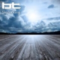 Skylarking by BT