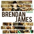 Hope In Transition by Brendan James