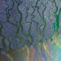 An Awesome Wave by alt-J