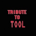 Tribute To Tool by Metal Manics