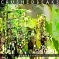 Breakdown by Crushed Beaks