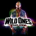 Wild Ones by Flo Rida