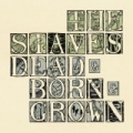 Dead & Born & Grown by The Staves