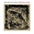 Understated by Edwyn Collins