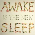 Awake is the New Sleep by Ben Lee
