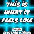 This Is What It Feels Like (Electric Prison's Remake Version of Armin van Buuren) by Electric Prison