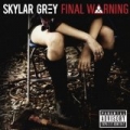 Final Warning [Explicit] by Skylar Grey