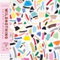 A Dancing Shell by Wild Nothing