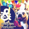 Birthday Parties for Puppies by Sirens And Sailors