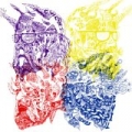 Purple Yellow Red and Blue by Portugal. The Man