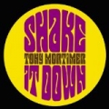 Shake It Down - Single by Tony Mortimer