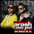 She Makes Me Go (feat. Sean Paul) by Arash