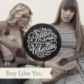 Boy Like You (Radio Mix) by Belles and Whistles
