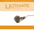 Words (As Made Popular By Hawk Nelson) [Performance Track] by Ultimate Tracks