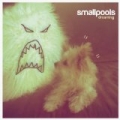 Dreaming by Smallpools