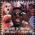 Afrikans In Denmark by Silver Bullit