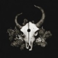 Summer of Darkness by Demon Hunter