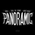 Panoramic (feat. Sage The Gemini & Show Banga) - Single [Explicit] by Dmac